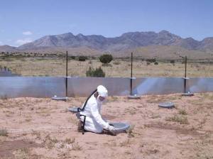 1924766_280586875472875_706706158121764690_n