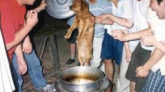 HhbJPybXAayxwgn-1600x900-noPad