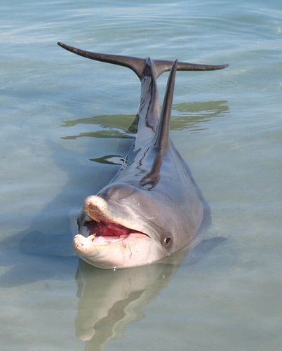 2298899365_5c0d10db11