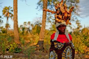 24_image-52cb2fa29c54e--mg-1668