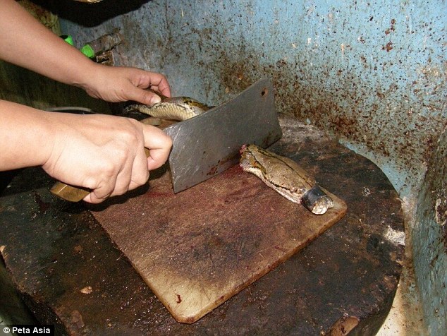 341271B800000578-3586336-image-a-37_1463041746466