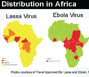 Lassa-fever-vs-Ebola.png