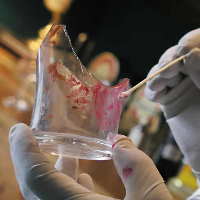 bsc-forensic-science-teaser