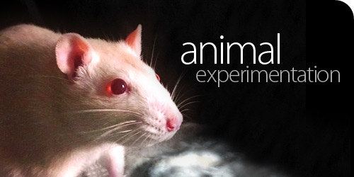 500-animal_experimentation.jpg