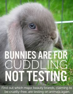 bunny-animal-testing