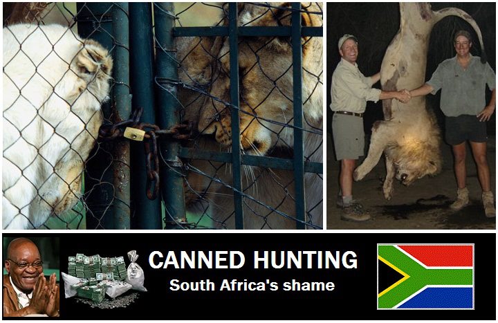 canned-hunting.jpg