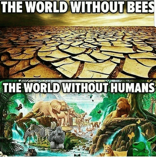 the-world-without-bees-the-world-without-humans-a-4960055.png