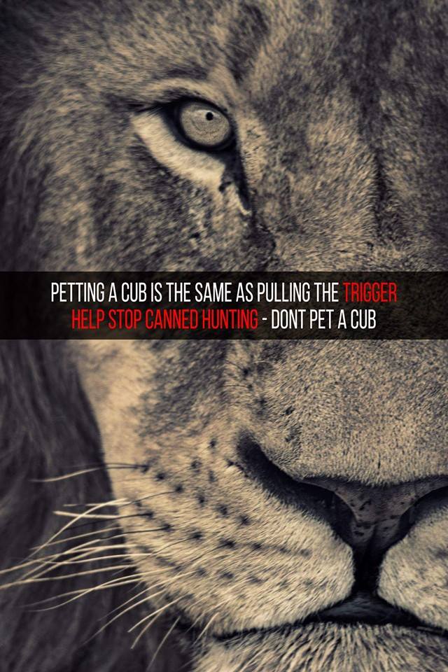 tumblr_nhfrva2dvv1tlrn5no1_1280