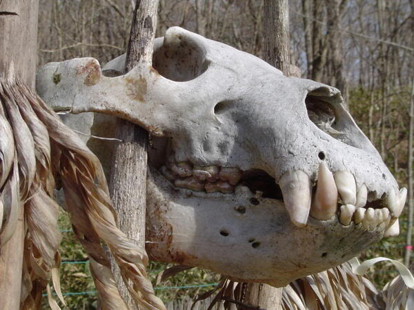 4818f496385a1d679bbf040164b325da