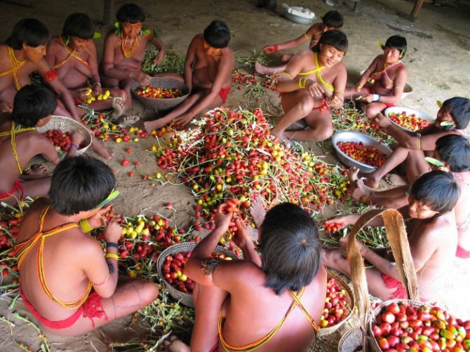 Tribes-Yanomami-fruits-670x502.jpg