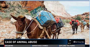 041516-lelandjoeAZ-1e