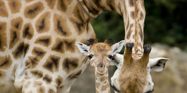 449393-1473699112-wide