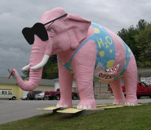 7bd5fd2eea468cf9f1ae715a6f2baec6--tennessee-attractions-big-move