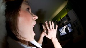 spinnen-panik-100~_v-gseapremiumxl