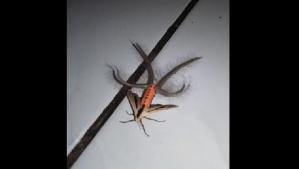 fdb638f45d072f01255d7ec35aa7b933