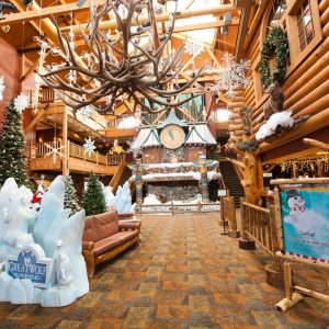 12294903_10153760745314483_4210660802133005173_n-700x700