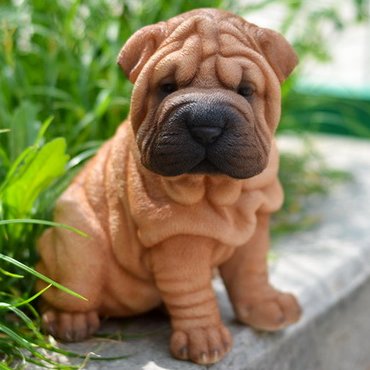 Sitting+Shar+Pei+Puppy+Statue
