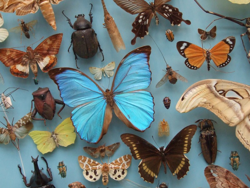 458119838_ca0a6ac540_b