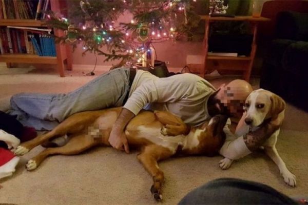 seks-sa-psima-2-768x512